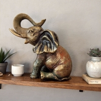 Luimera Oturan Fil Biblo Dk