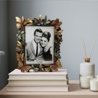 Luimera Kelebek Çerçeve Dk 20X25cm