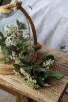 Apricitas Elysian Bej Çift Kisilik Ranforce Nevresim Takimi