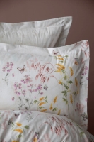 Apricitas Helena Pembe Çift Kisilik Ranforce Nevresim Takimi