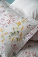 Apricitas Helena Pembe Çift Kisilik Ranforce Nevresim Takimi