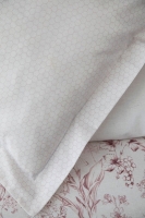 Apricitas Heather Pudra Çift Kisilik Ranforce Nevresim Takimi