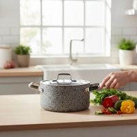 Brioni Stone Age 20 Cm Derin Tencere