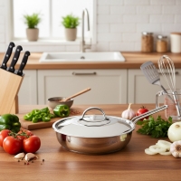 Oms 20 X 5 Cm Tek Kulp Çelik Tava (Kapakli)