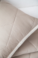 Çift Kişilik Beetle Bej Yatak Örtüsü Nevresim Seti