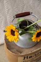 Çift Kişilik Bourbon Bej Yatak Örtüsü Seti