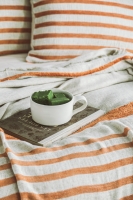 Çift Kişilik Brulee Terra Keten Yatak Örtüsü Seti