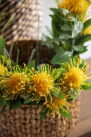 Çift Kişilik Ellion Cherry Trikolu Battaniyeli Nevresim Takımı