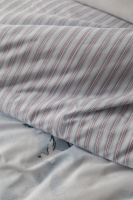 Çift Kişilik Jonathan Mavi Nevresim Takımı