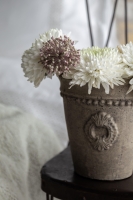 Çift Kişilik Moneda Adaçayı Yatak Örtüsü Nevresim Seti