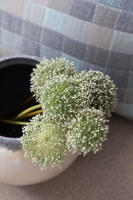 Çift Kişilik Piazza İndigo Timeless Yatak Örtüsü Nevresim Prime Set