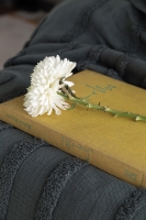 Çift Kişilik Stampino Petrol Trikolu Battaniyeli Nevresim Seti