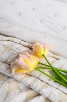 Çift Kişilik Timeless Set Nakışlı Abeille Bej