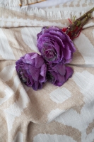 Çift Kişilik Zest Bej Pamuk Yatak Örtüsü Nevresim Seti