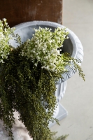 King Size Franny Bej Elegance Saten Nevresim Takımı