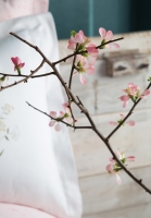 King Size Windflower Tencel Nevresim Takımı