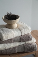 Lotus 90x150 CM Ekru/Vizon Havlu Aile Seti