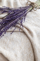 Tek Kişilik Belmont Bej Timeless Yatak Örtüsü Nevresimli Prime Set