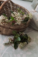 Tek Kişilik Elysian Adaçayı Complete Set